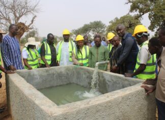 Autonomisation des femmes : Un périmètre maraîcher pour la Coopérative Nabonswendé de Poedogo