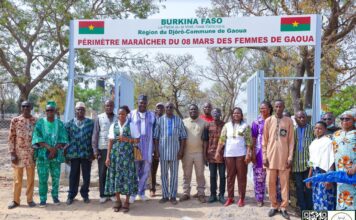 MOIS DE LA FEMME 2026: les femmes de Gaoua ont leur périmètre maraîcher pour accélérer leur autonomisation