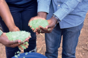 Production d’anacarde au Burkina Faso : « Barbary-Plante », un nouvel engrais pour mieux nourrir les plants