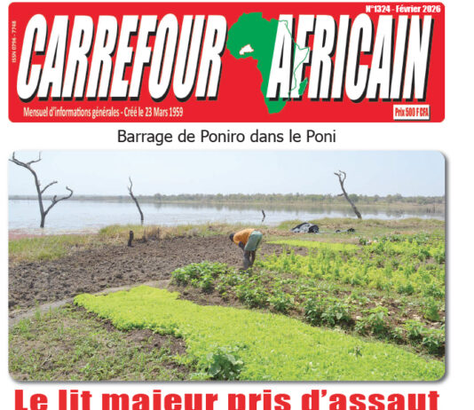 Une Carrefour africain n° 1324-février 2026