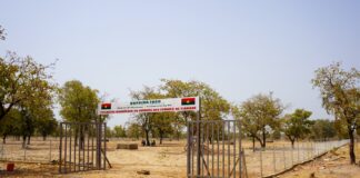 Mois de la femme 2026 : Le Président du Faso offre un périmètre maraîcher moderne aux femmes de Tiakané