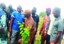Commune de Bagré: un champ de vigne de 4 hectares force l’admiration à Bèga