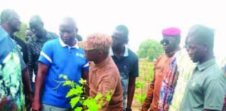 Commune de Bagré: un champ de vigne de 4 hectares force l’admiration à Bèga