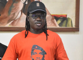 Attaques au Mali : le RESO-AES exprime son indignation