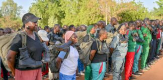 𝐏𝐫𝐢𝐦𝐚𝐭𝐮𝐫𝐞 : 𝐥𝐞 𝐩𝐞𝐫𝐬𝐨𝐧𝐧𝐞𝐥 𝐞𝐧 𝐢𝐦𝐦𝐞𝐫𝐬𝐢𝐨𝐧 𝐩𝐚𝐭𝐫𝐢𝐨𝐭𝐢𝐪𝐮𝐞