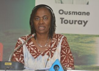 Libération de l’Afrique: une conférence interroge le rôle de la jeunesse