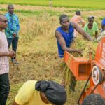 Plaine rizicole de Bama : le Premier ministre encourage les producteurs