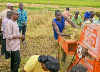 Plaine rizicole de Bama : le Premier ministre encourage les producteurs