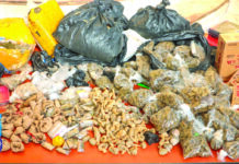 Lutte contre la drogue: 13 kilogrammes de canabis saisis, 217 personnes interpellées