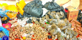 Lutte contre la drogue: 13 kilogrammes de canabis saisis, 217 personnes interpellées