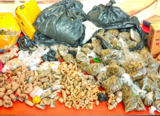 Lutte contre la drogue: 13 kilogrammes de canabis saisis, 217 personnes interpellées