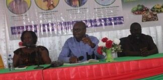 Engagement patriotique et promotion de modèles réussis: les Etoiles du Faso inspirent les étudiants à Gaoua