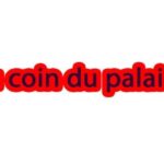 Il menace un père et son fils à leur domicile.