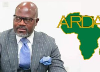 Capital humain : le maillon manquant de la sécurité énergétique et de l’industrialisation de l’Afrique