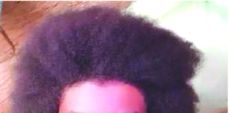 Burkina: l’armée élimine l’émir des terroristes du Nakambé