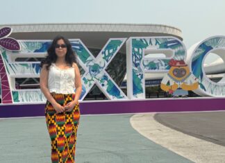 Hainan Expo : La vitrine mondiale et levier stratégique de la consommation en Chine