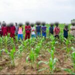 WhatsApp Image 2026-04-22 at 18.22.04 (2)