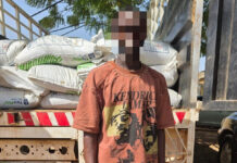 Trafic d’engrais: deux individus interpelés à Pô