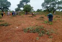 Champs de la paix de Farakoba et de Tolotalama dans le Houet: un modèle d’intégration réussie entre PDI et populations hôtes