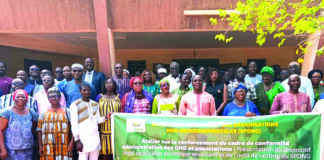 Liberté d’association au Burkina Faso: des acteurs à l’école des lois régissant le secteur