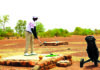 Golf/11e tournoi SUNU Assurances: Moussa Kafando le grand vainqueur