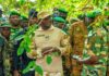 Revalorisation et sécurisation des massifs forestiers: le ministre Mahamadou Sana en immersion dans la forêt classée de Koua