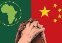 Politique tarifs douaniers nuls : Pour des relations sino-africaines plus étroites