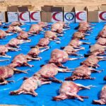Fête de Tabaski: L’Association Alfawz offre 816 carcasses aux personnes vulnérables