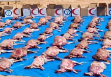 Fête de Tabaski: L’Association Alfawz offre 816 carcasses aux personnes vulnérables