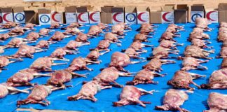 Fête de Tabaski: L’Association Alfawz offre 816 carcasses aux personnes vulnérables