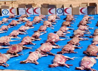 Fête de Tabaski: L’Association Alfawz offre 816 carcasses aux personnes vulnérables
