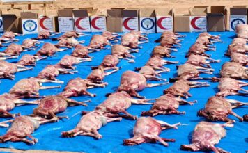 Fête de Tabaski: L’Association Alfawz offre 816 carcasses aux personnes vulnérables