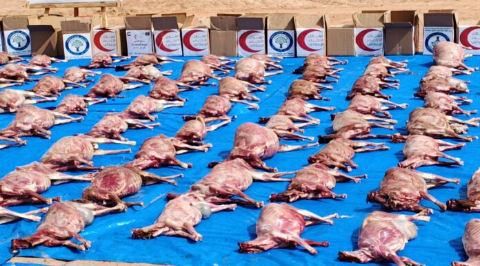 Fête de Tabaski: L’Association Alfawz offre 816 carcasses aux personnes vulnérables