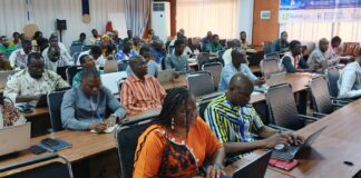 Intelligence artificielle au Burkina Faso: vers la validation d’une feuille de route nationale