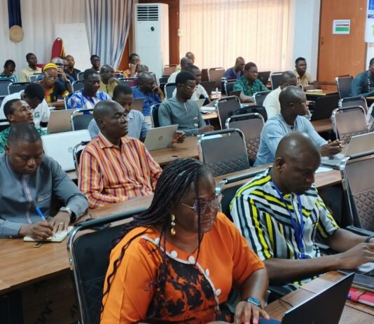Intelligence artificielle au Burkina Faso: vers la validation d’une feuille de route nationale