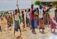 Journée mondiale de l’environnement: le pari vert du Burkina Faso