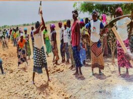 Journée mondiale de l’environnement: le pari vert du Burkina Faso