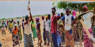 Journée mondiale de l’environnement: le pari vert du Burkina Faso