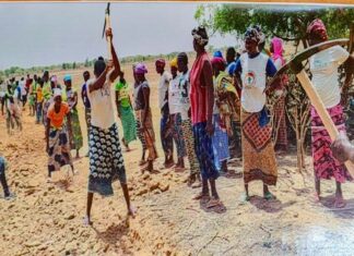 Journée mondiale de l’environnement: le pari vert du Burkina Faso