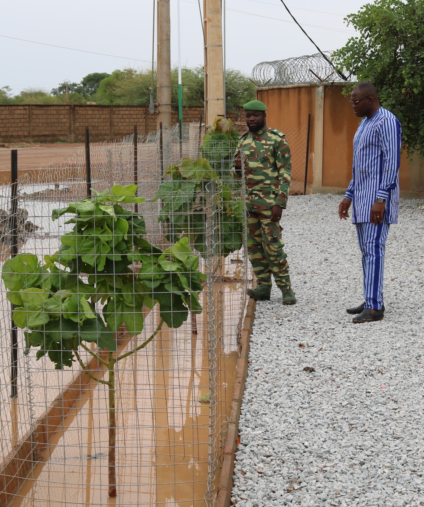 De la résidence du gouverneur à la Sixième Légion de gendarmerie de Fada N’Gourma, les arbres présentent une bonne physionomie.