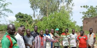 VIIIe Journée nationale de l’arbre : La COGEF-Est offre 130 plants accompagnés de dispositifs de protection