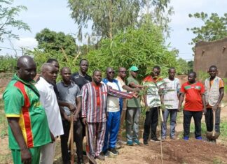 VIIIe Journée nationale de l’arbre : La COGEF-Est offre 130 plants accompagnés de dispositifs de protection