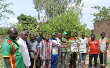 VIIIe Journée nationale de l’arbre : La COGEF-Est offre 130 plants accompagnés de dispositifs de protection