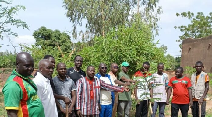 VIIIe Journée nationale de l’arbre : La COGEF-Est offre 130 plants accompagnés de dispositifs de protection