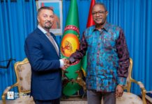 Coopération bilatérale: le ministre Karamoko Jean Marie Traoré échange avec une mission parlementaire serbe