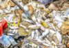 Mortalité de poissons au barrage n°3 de Ouagadougou : que révèlent les analyses du laboratoire ?