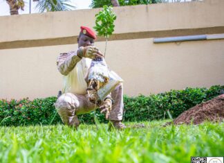8e édition de la Journée nationale de l’Arbre : « Planter un arbre, c’est contribuer à la vie de l’humanité entière », dixit Camarade Capitaine Ibrahim TRAORÉ