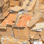 Gaoua : la Direction régionale de l’Industrie, du Commerce et de l’Artisanat de la région de Djôrô a saisi 6000 plaquettes d’œufs impropre à la consommation