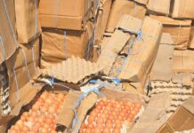 Gaoua : la Direction régionale de l’Industrie, du Commerce et de l’Artisanat de la région de Djôrô a saisi 6000 plaquettes d’œufs impropre à la consommation