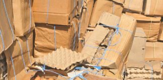 Gaoua : la Direction régionale de l’Industrie, du Commerce et de l’Artisanat de la région de Djôrô a saisi 6000 plaquettes d’œufs impropre à la consommation